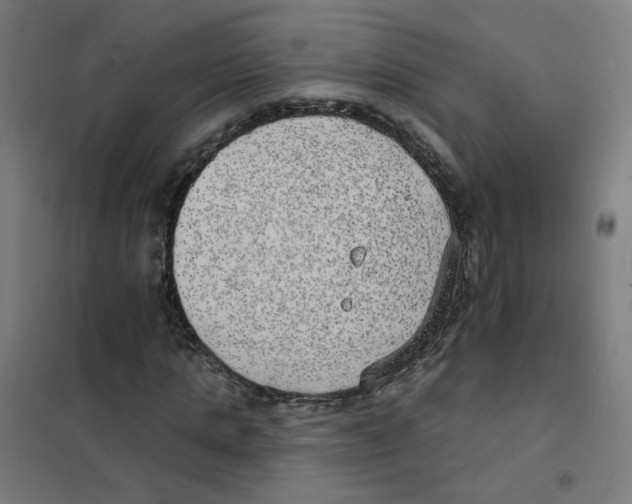 X0000101700821200808071156