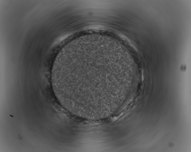 X0000101700822200808071156