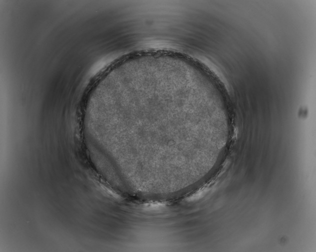 X0000101700823200808071156