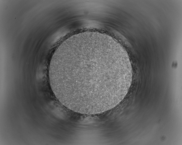 X0000101700824200808071156
