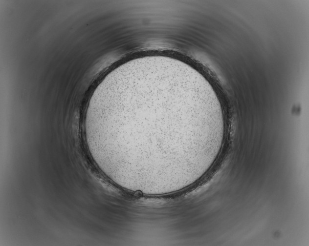 X0000101700825200808071156