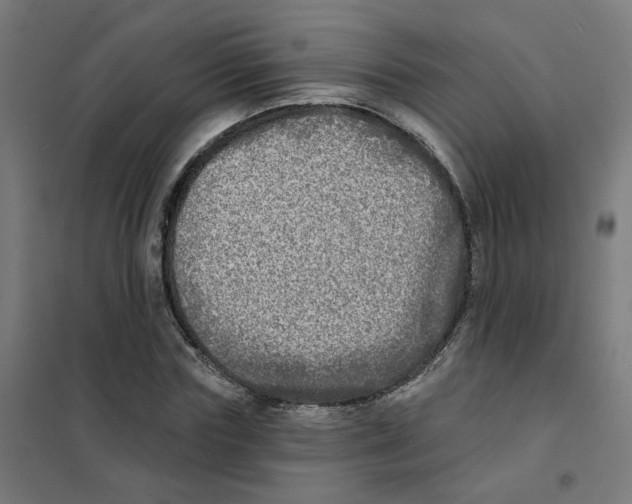 X0000101700827200808071156