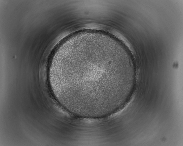 X0000101700829200808071156
