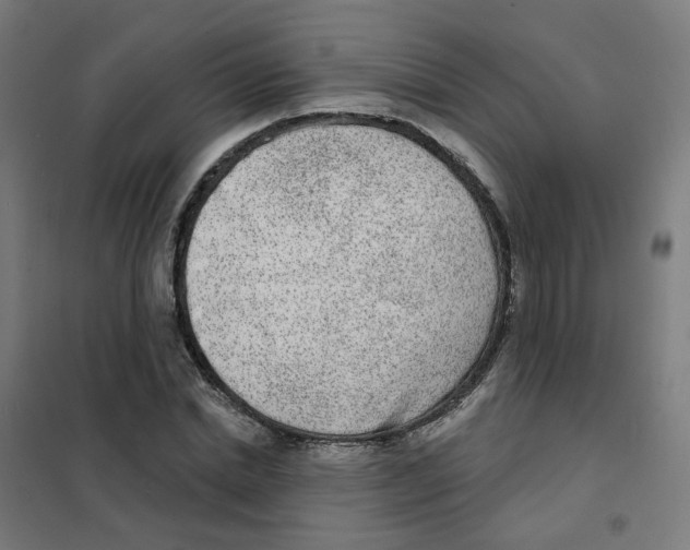 X0000101700830200808071156