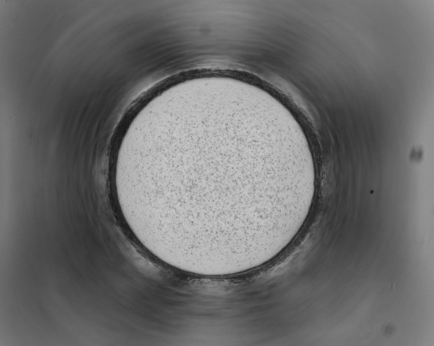 X0000101700831200808071156
