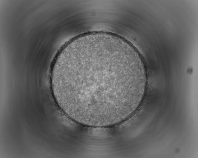 X0000101700832200808071156