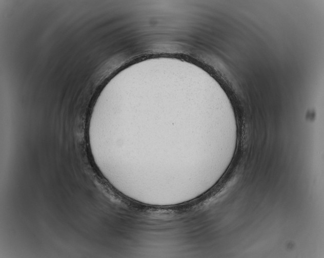 X0000101700833200808071156