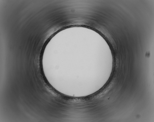 X0000101700834200808071156