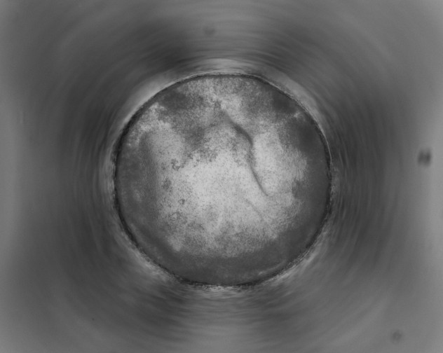 X0000101700835200808071157