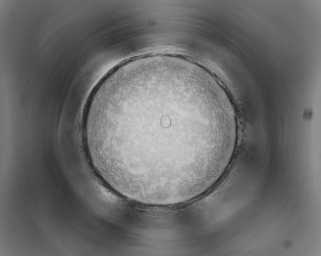 X0000101700836200808071157