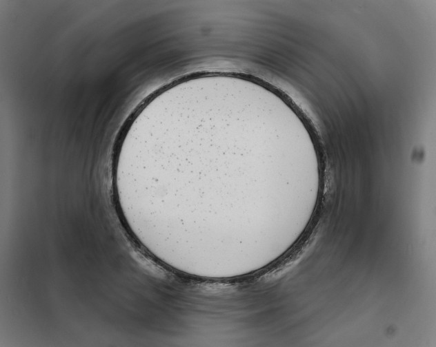 X0000101700837200808071157