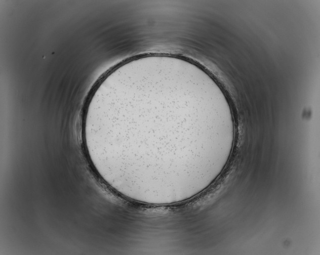X0000101700838200808071157