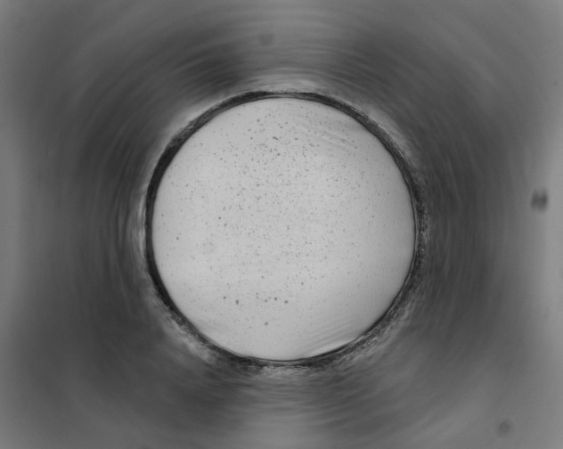 X0000101700840200808071157
