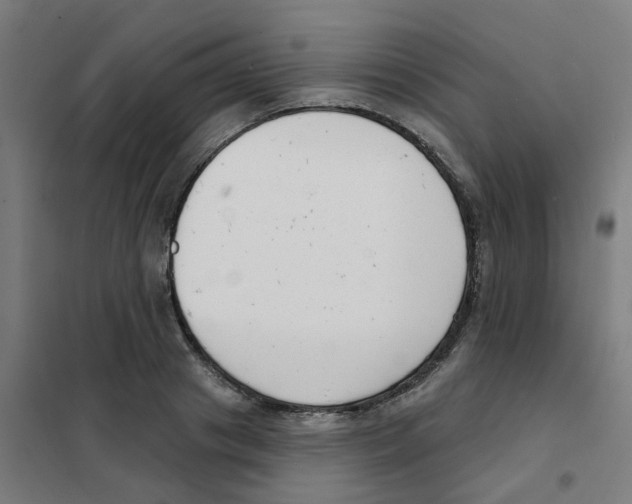 X0000101700841200808071157