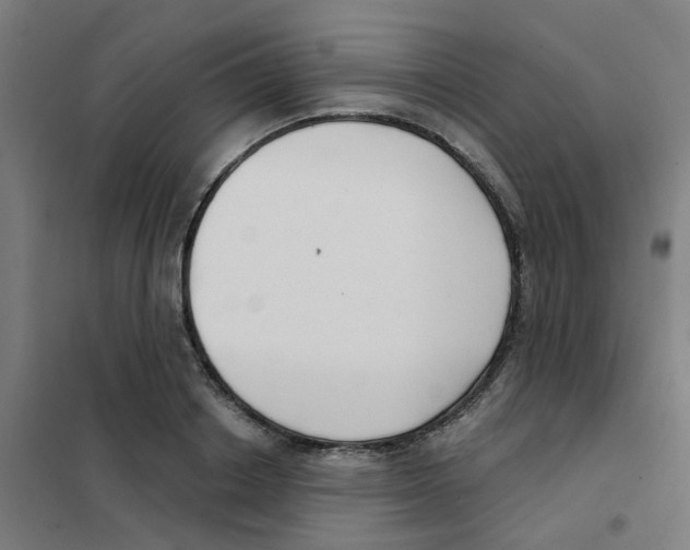 X0000101700842200808071157