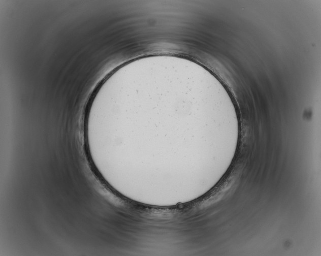 X0000101700843200808071157