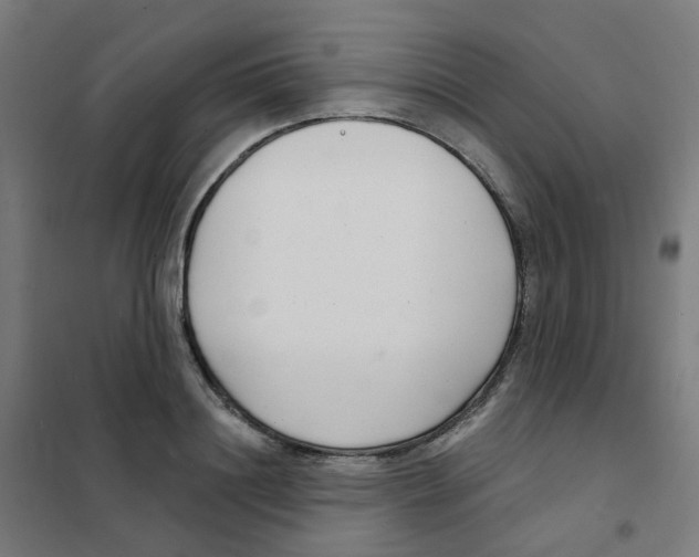 X0000101700844200808071157