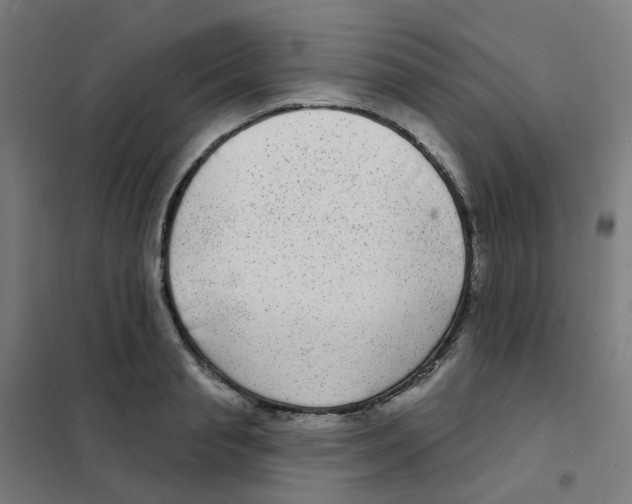 X0000101700845200808071157