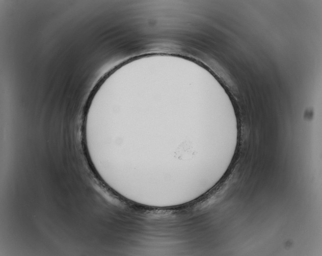 X0000101700846200808071157