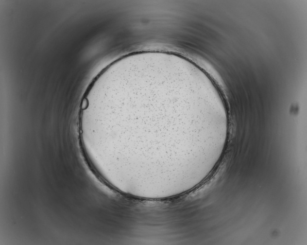 X0000101700847200808071157