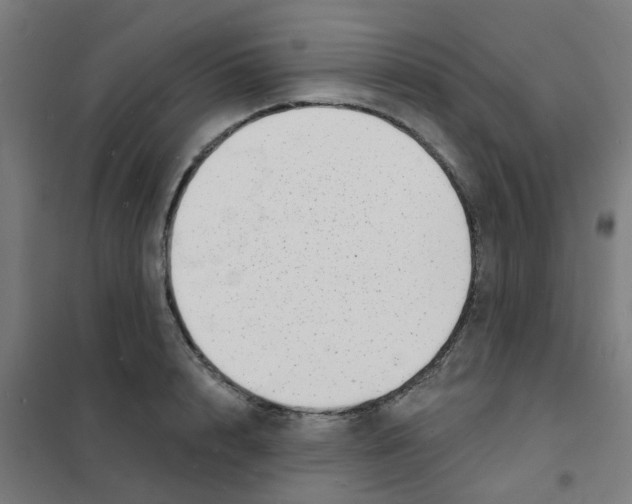 X0000101700848200808071157