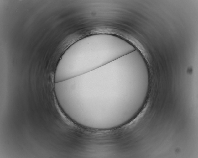 X0000101700849200808071157