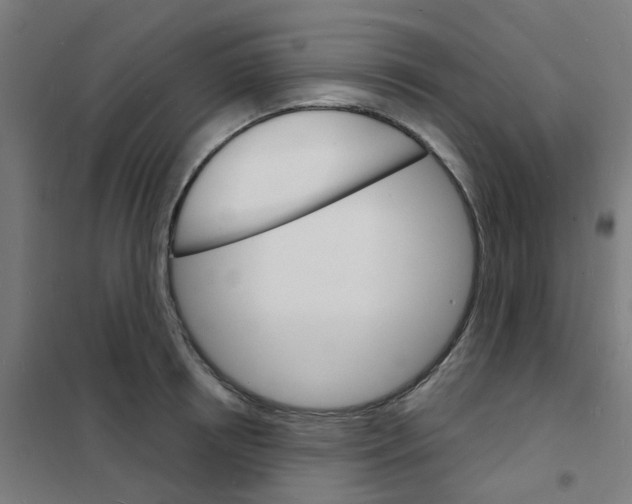 X0000101700850200808071157