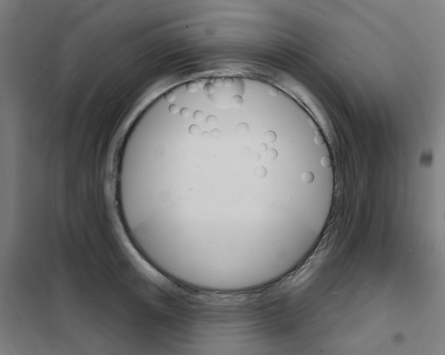 X0000101700851200808071157