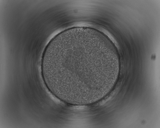 X0000101700853200808071157