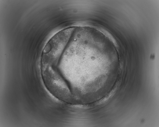 X0000101700855200808071157