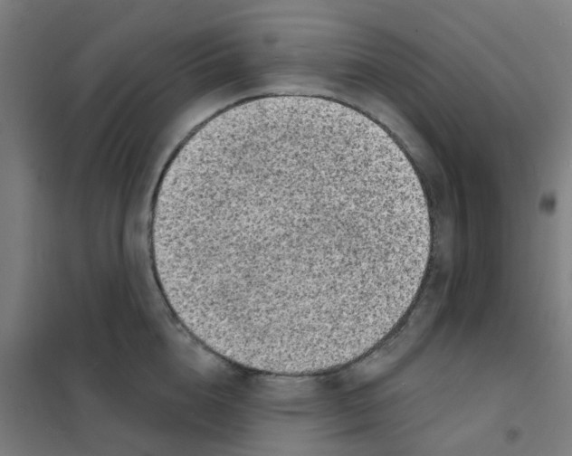 X0000101700856200808071157
