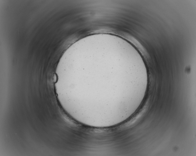 X0000101700857200808071157