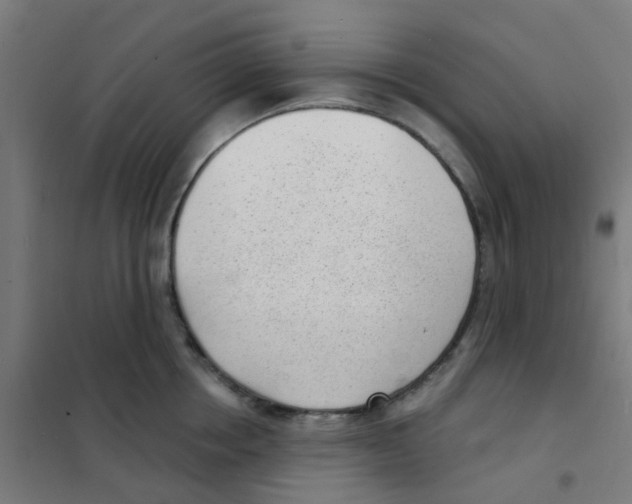 X0000101700858200808071157