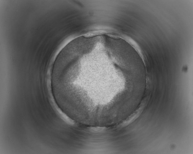 X0000101700859200808071157