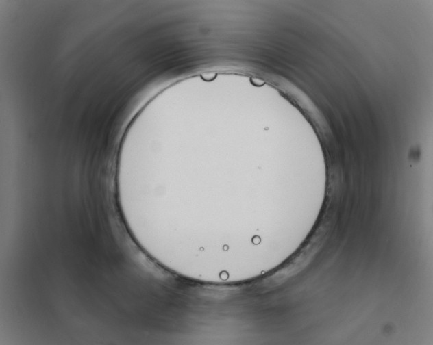 X0000101700860200808071157