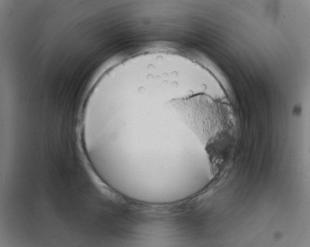 X0000101700861200808071157