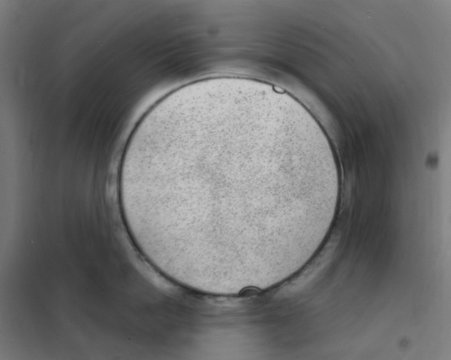 X0000101700862200808071157