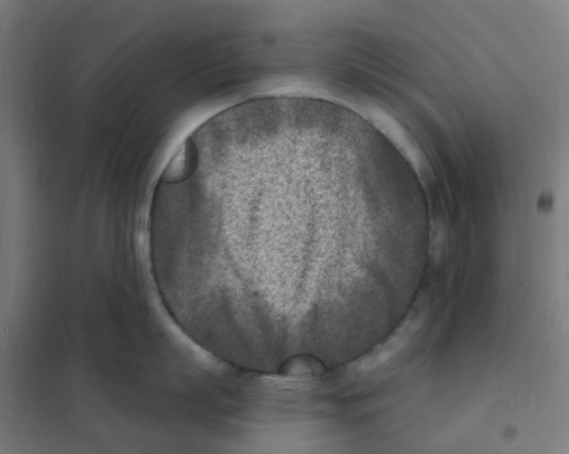 X0000101700863200808071157