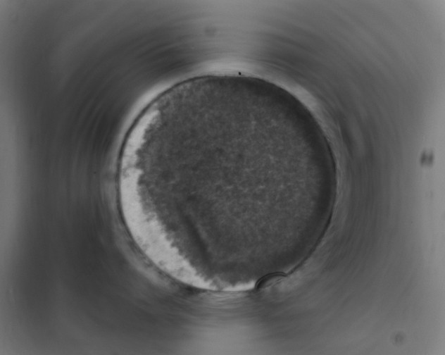 X0000101700864200808071157