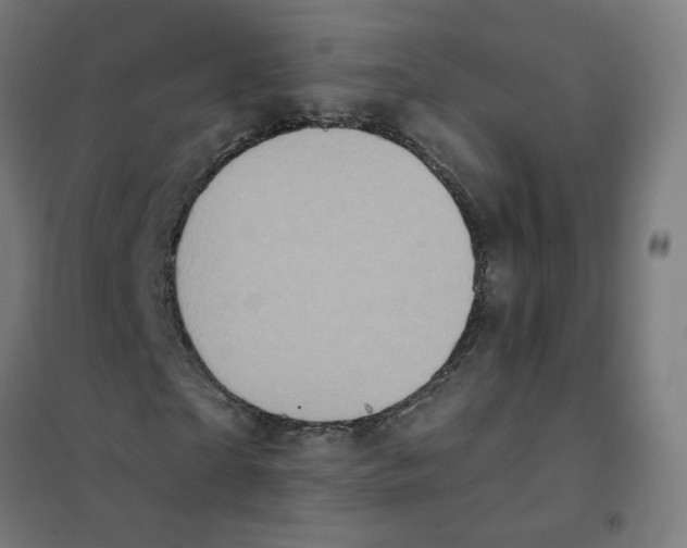 X0000101700865200808071156