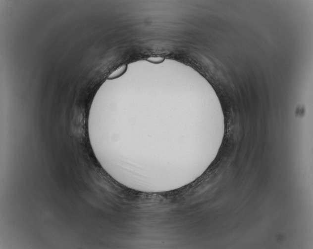 X0000101700866200808071156