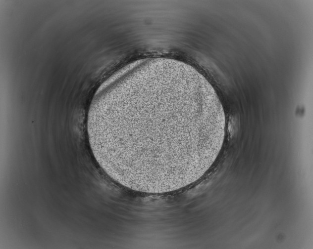 X0000101700867200808071156