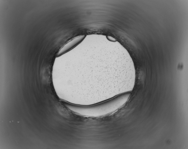 X0000101700868200808071156