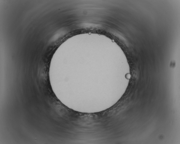 X0000101700869200808071156