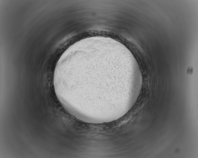 X0000101700870200808071156