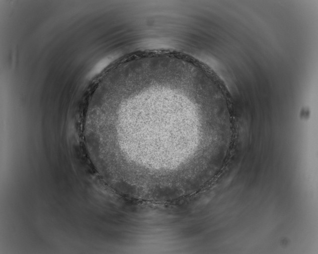X0000101700871200808071156