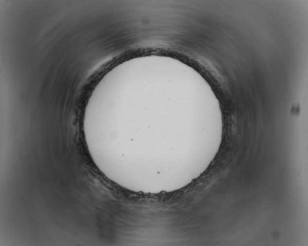 X0000101700872200808071156