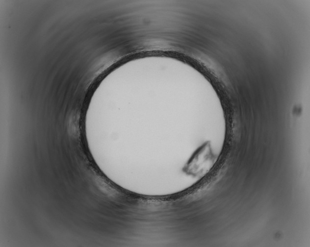 X0000101700873200808071156