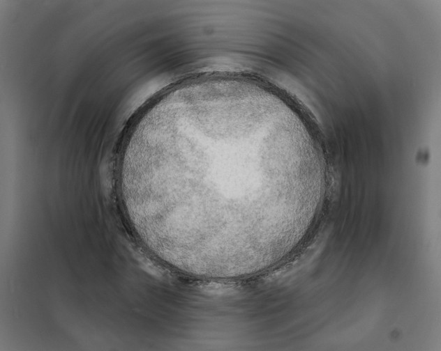 X0000101700874200808071156