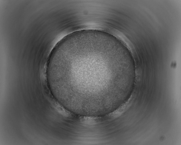 X0000101700875200808071156